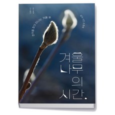 목수책방 겨울나무의 시간