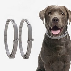 강아지 고양이 모기 진드기 벌레 제거 퇴치 목걸이, 1강아지벌레방지-소형