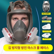 반면형 화생방 석면 농약 공업용 방진 분진 정화통 도색, 김서림 방지 방진 방독 7종 세트 10개 필터, 1개