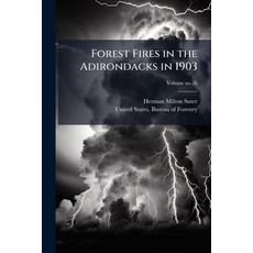 (영문도서)Forest Fires in the Adirondacks in 1903 Paperback, Hutson Street Press, English, 9781025223988