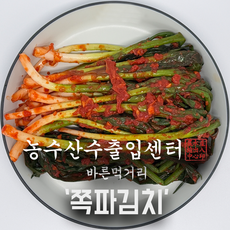 농수산수출입센터 전라도식 파김치 쪽파김치, 1박스, 5kg