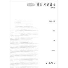 왕유 시전집 4(큰글씨책):정치시, 지식을만드는지식