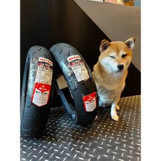 瑪吉斯 MAXXIS S98 PLUS 競技胎 100/90-12 輪胎, 1個
