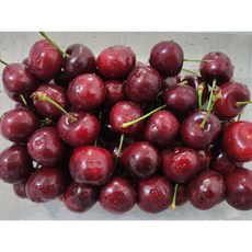 천상의맛 23brix 초고당도 특수농법 명품 생 체리, 1개, 500g