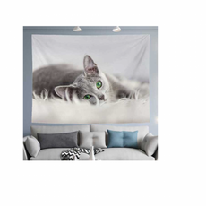 러시안블루포스터 고양이일러스트아트포스터 감성인테리어벽장식 펫러버홈데코소품, 1개, 대