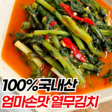 연두명가 100%국산 시원한 열무김치 HACCP 인증, 1박스, 2kg