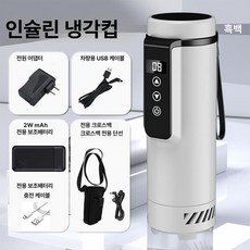 인슐린냉장고 휴대용 소형 온도표시 냉동 시약 인슐린보냉, other, 화이트 앤 20000mAh 보조 배터리 +, 1L