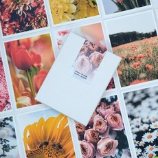 하이파이 꽃 미니카드 메세지카드40p+봉투20p 맗씀카드/축하카드/생일카드/엽서세트/편지지, 1