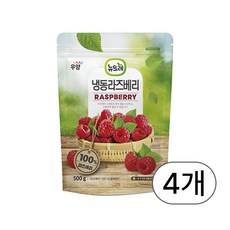 뉴뜨레 냉동 라즈베리 500g 칠레산, 4개
