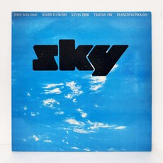 Sky(스카이) / Sky 엘피음반 상태(쟈켓/음반) NM/NM
