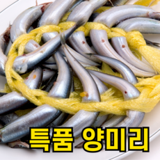 [속초축제완판] 당일작업 햇 반건조 양미리, 1박스, 1두름(20미)
