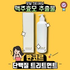 [본사정품] 반코르 맥주효모 단백질 트리트먼트 럭키 랜덤사은품, 1개, 500g
