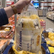 (매장정품) 코스트코 프레쉬 레몬 2.2kg 216943