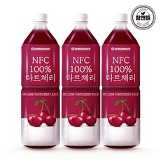 참앤들황토농원 NFC 착즙 타트체리주스, 1L, 3개