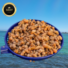 [프레쉬뉴] 산지직송 남해안 통영 오만둥이 횟감 당일조업 생물, 1세트, 3kg