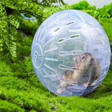 햄스터 운동볼 액세서리, 단품