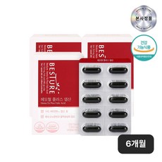 베스처 혈액건강 헤모철 플러스 엽산, 3박스, 800mg