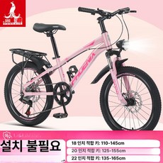 KN 20인치자전거 20인치자전거 자전거20인치, 단일 속도, 18인치, 스포크 휠 연분홍 B
