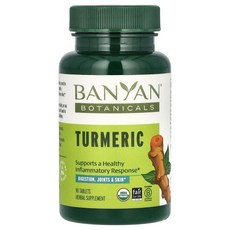 바냔 보태니컬즈 터메릭 500mg Banyan Botanicals Turmeric 500 mg 90정, 1개