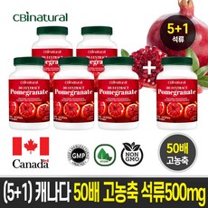 (5+1)50배 농축 석류 500mg 120캡슐/캐나다 생산/캐나다 생산 직발송/캐나다식약청 GMP NPN인증, 120정, 6개