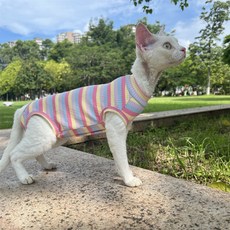 純棉高彈力四腳衣護肚子背心柔軟粉色可愛斯芬剋斯德文無毛貓衣服