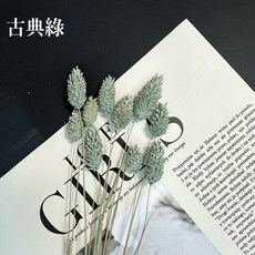 花藝夢*加那利 10支販售 荷蘭進口加那利 寶石草 乾燥花 永生花 不凋花 配花 花束配花 荷蘭 花藝師必備 高CP值, 古典綠