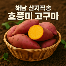 팜온네이처 호풍미 고구마 3kg 5kg 10kg | 25년 산지 해남 호박고구마 호풍미 자연숙성 당일선별 산지직송, 1박스, 호풍미고구마 2kg 대과