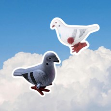 [ 웃기고 잡화점네 ] 쓸모없는 선물 쓸데없는 선물 1박2일 조세호 반려 비둘기 혼합 2개 1세트, 금슬좋은 반려비둘기 세트, 1개
