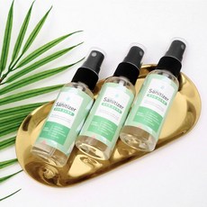 휴대용 천연 알로에 손세정제 6개 만들기 KIT 실험교구 깨끗한 손 새학기 준비물, 1g