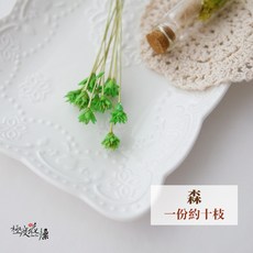 極度花燥 小山花 乾燥花, 【小山花】森,一份10枝