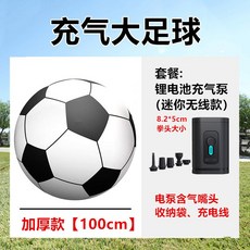 체육대회 야유회 탱탱볼 농구공 초대형 대형 1M 축구공 대회