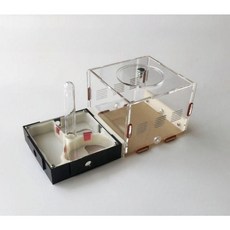 개미집 키우기 둥지 실내 집 관찰 상자 하우스 작업장 키트 사육, 2. 패키지1호 석고+소량 활동