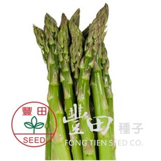 【野菜部屋~】I57 格蘭蒂蘆筍種子 中包裝 F1品種 中早生品種, 1包