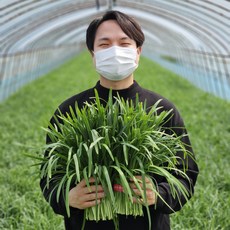 대동 부추, 1개, 2kg