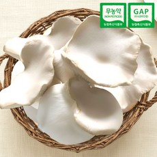 GAP 친환경 프리미엄 국내산 설원버섯, 1세트, 1kg