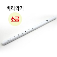 베리 악기 전통 소금 국악 국악기 플라스틱 초등 초등학생, 1개