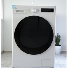 LG 트롬 AI 세탁기 17kg 인버터 1등급 통살균 화이트, F17ITP