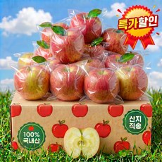 [5차완판신화] 꿀품은과육 껍질째먹는 청송 세척사과, 1세트, 2kg
