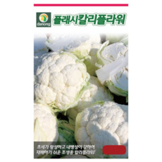 플래시 칼리플라워 씨앗 100립 컬리플라워 종자 씨 씨앗 다농, 1개, 500g