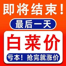 廚房水槽過濾網一次性通用下水道地漏網洗碗池隔渣袋洗菜池過濾網, 1個, 創業失敗清倉處理庫存不多瞭,店長推薦：散裝1根已售5%, N/A
