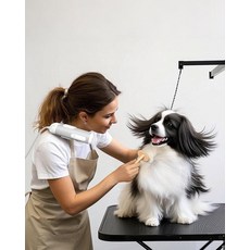 L&W BROS. 클램프 스탠드가 있는 2-in-1 반려동물 헤어 드라이어 - 웨어러블 및 핸즈프리 강아지 그루밍 건조기 5가지 열 3가지 속도 설정이 950W 저소음 송풍기, without Stand, White