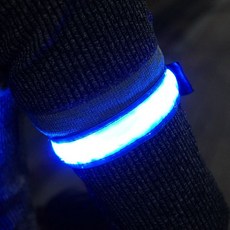 야간 스포츠 자전거 암밴드 라이트 후미등 블루B100, 본상품