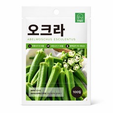 주주씨앗 오크라 100립 이색 채소종자 씨앗, 13. 오크라 100립, 1개
