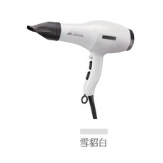 雅娜蒂 AD-170 專業負離子吹風機 1400W, 雲豹白