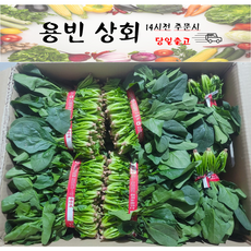 ( 용빈 상회 ) 국내산 남해 고성 시금치 해풍맞은 시금치 900g~1kg 1단 2단 3단, 1개, 1kg