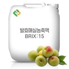 발효매실농축액 15Brix 200g 샘플, 1개