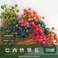 巴西快樂花 乾燥花 居家裝飾 擺設, 69藏藍,原裝