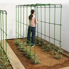 넝쿨 지지대 포도나무 토마토 오이 호박 지주대 막대 기둥, 1.직경11 60x120x60 (3x3x6), 1개