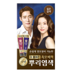 리엔 흑모비책 뿌리염색 크림 100g, 짙은 갈색, 6개