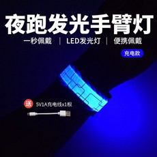 台灣出貨 WRELS騎行跑步手臂燈綁褲腳充電代駕警示燈反光戶外運動夜跑安全 夜跑反光腳環 夜騎反光手環 戶外運動, 充電款-藍色, 1個